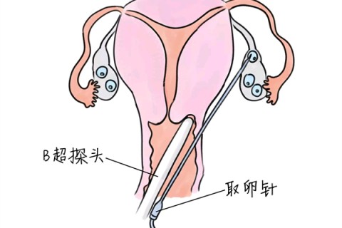 http://guiyang.huochezhan.net/post/205.html|贵阳供卵助孕