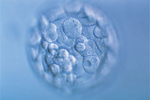 http://guiyang.huochezhan.net/post/200.html|贵阳新闻中心